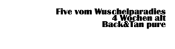 Five vom Wuschelparadies 4 Wochen alt  Back&Tan pure