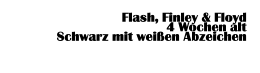 Flash, Finley & Floyd 4 Wochen alt  Schwarz mit weißen Abzeichen