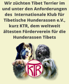 Wir züchten Tibet Terrier im und unter den Anforderungen des  Internationale Klub für Tibetische Hunderassen e.V., kurz KTR, dem weltweit ältesten Förderverein für die Hunderassen Tibets